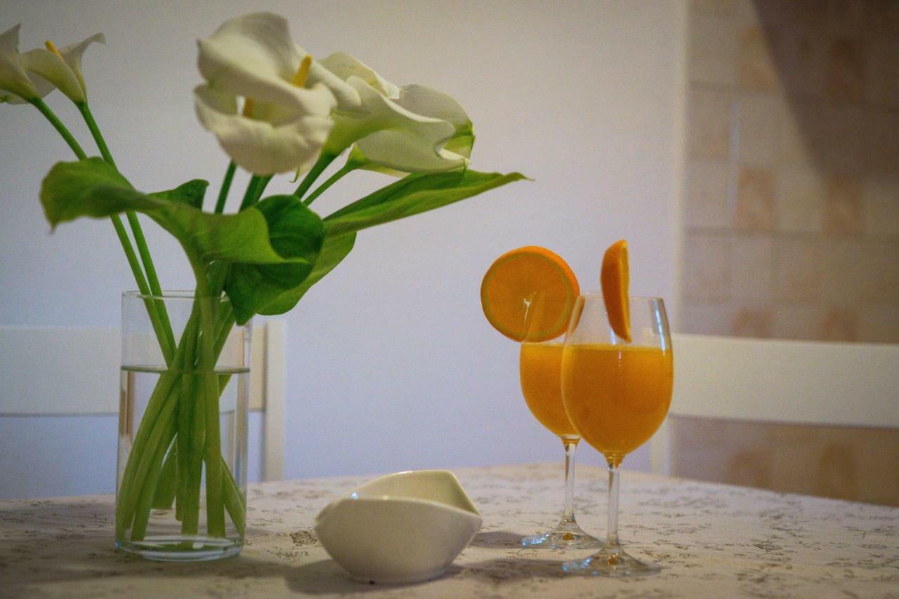 Korallion Apartment Sibenik Ngoại thất bức ảnh
